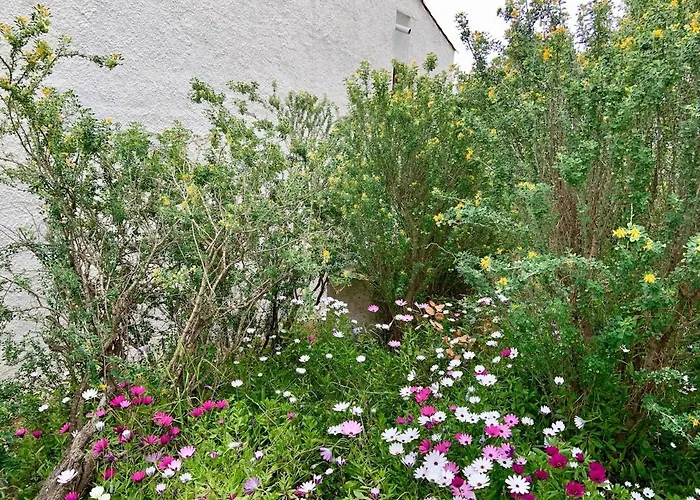 Casa Aries - Kerstin Bruns Hébergement de vacances Tossa de Mar